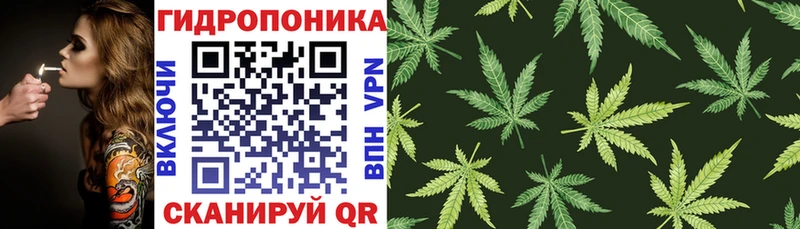 Как найти закладки Сургут A-PVP  МАРИХУАНА  Меф  ГАШ  COCAIN 