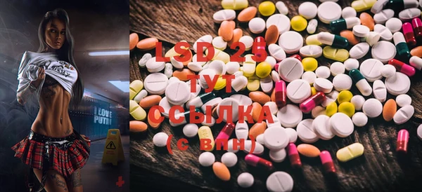PSILOCYBIN Пестово