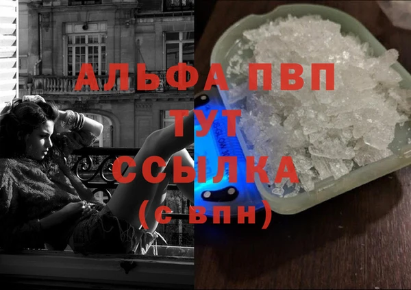 твердый Магас
