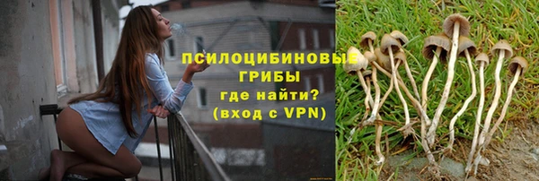 бошки Майский
