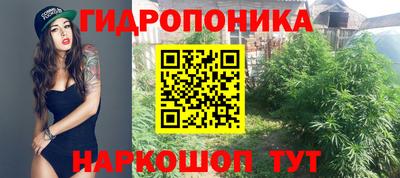 ГАЛЛЮЦИНОГЕННЫЕ ГРИБЫ Волгодонск