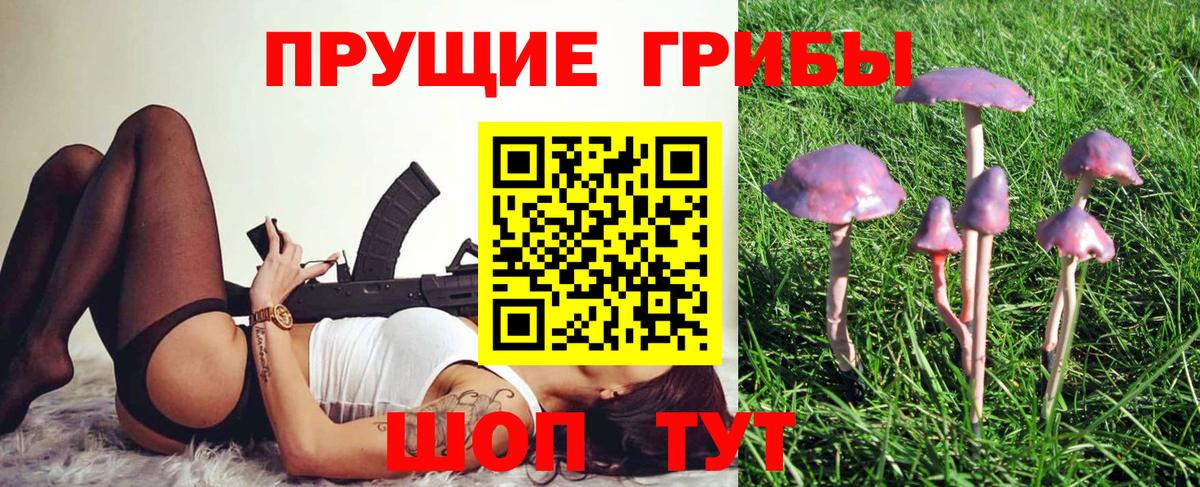 Псилоцибиновые грибы ЛСД  Псилоцибиновые грибы мицелий  Сургут 